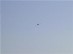 PICT1616.JPG